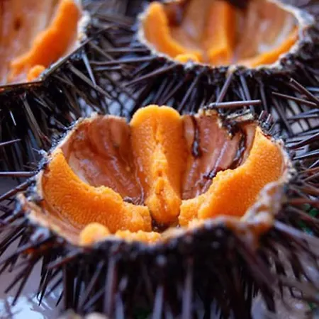 Tatil Evi Dimora La Cupa Monteroni di Lecce